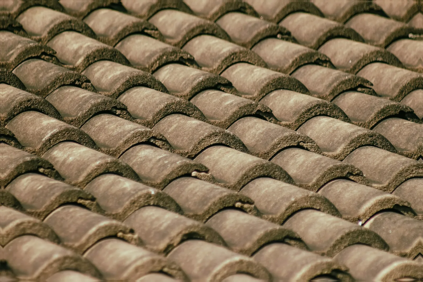 Do you actually need a new roof? Four ways to tell